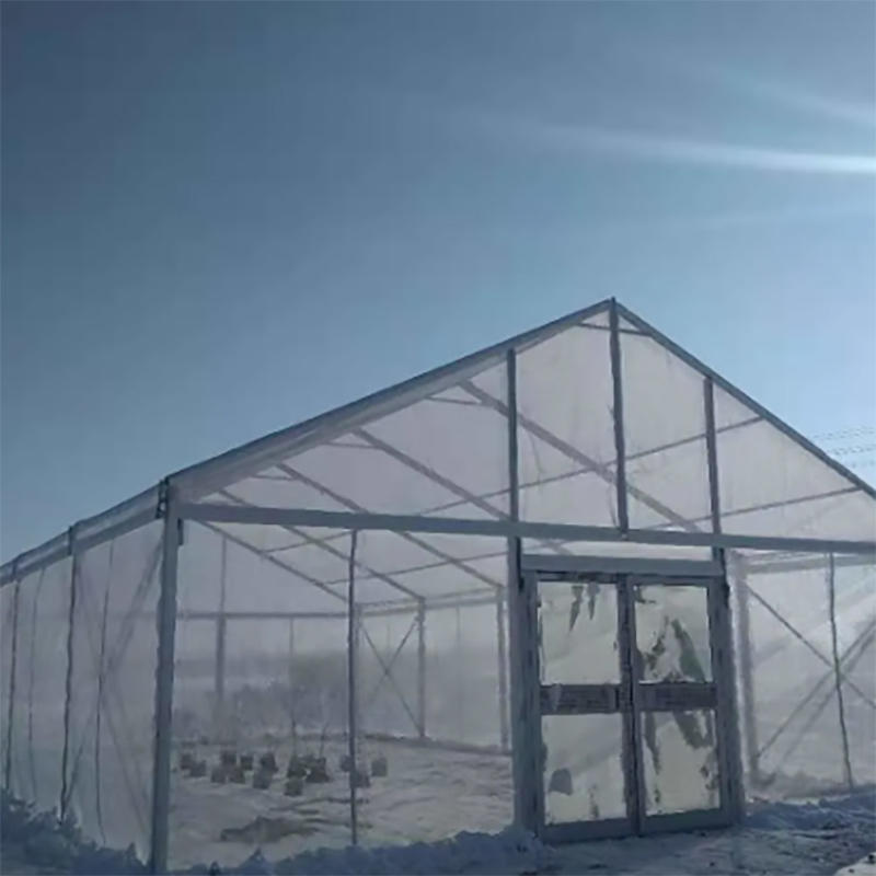 PVC Transparent Clear Mesh Fabric for Tent Window